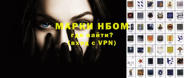 мет Алексин