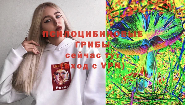 мет Алексин
