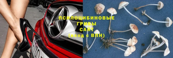 дурь Алексеевка