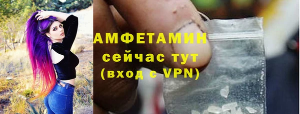 мет Алексин