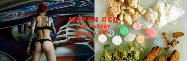 дурь Алексеевка