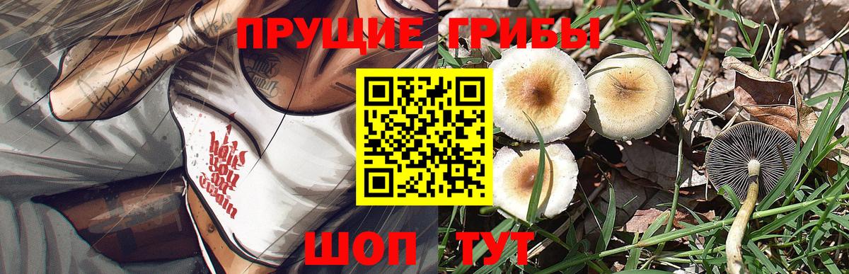 Воткинск  Псилоцибиновые грибы ЛСД  Вход с VPN 
